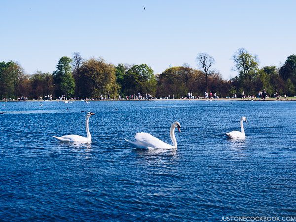 London Travel Guide - Day 1 in London | Easy Japanese Recipes at JustOneCookbook.com