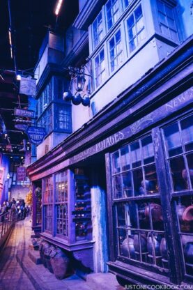 London Travel Guide Day 4 - Warner Bros. Studio: The Making of Harry Potter | JustOneCookbook.com