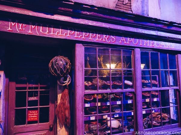 London Travel Guide Day 4 - Warner Bros. Studio: The Making of Harry Potter | JustOneCookbook.com