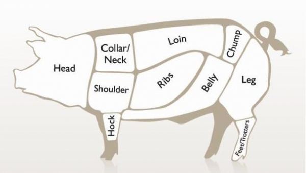 Cuts of Pork