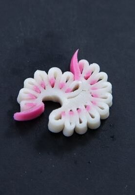 Decorative Kamaboko Cutting - Matsu 6