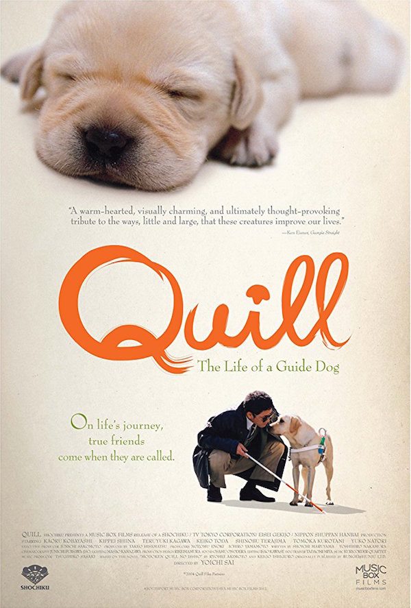 Quill_the_life_of_a_guide_dog_japanese film