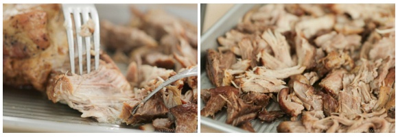 Instant Pot Asian Pulled Pork 11