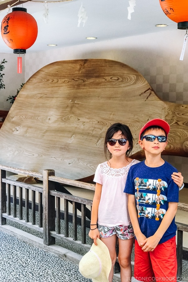 world's largest rice paddle Miyajima | JustOneCookbook.com