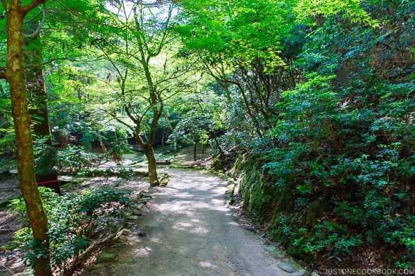 Momijidani Park on Miyajima | JustOneCookbook.com