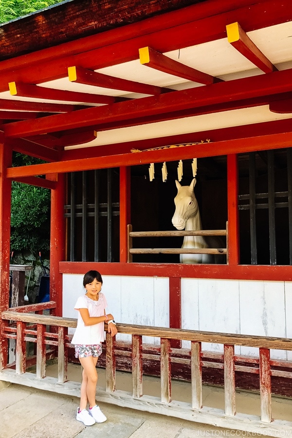 horse status Miyajima | JustOneCookbook.com