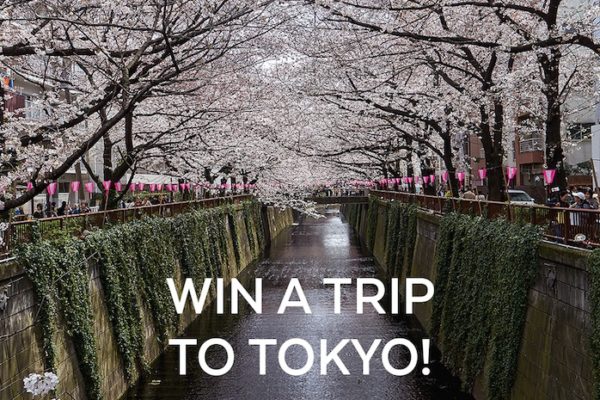 TASTE Magazine win a trip to Tokyo giveaway on Just One Cookbook