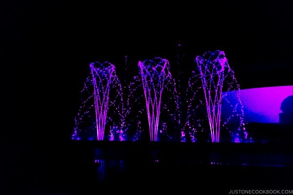 Show at Aqua Garden Suginoi Hotel Beppu - Beppu travel guide | justonecookbook.com