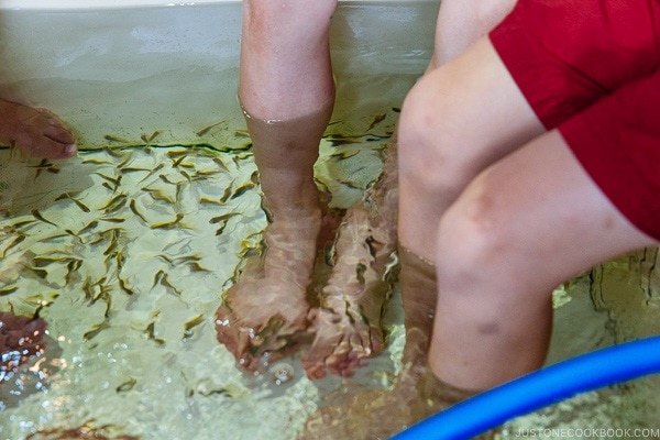 dr. fish eating skin off legs - Yufuin Travel Guide | justonecookbook.com