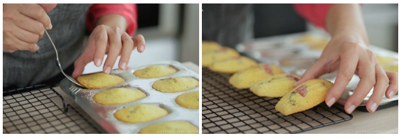 Cherry Blossom Madeleines 16