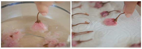 Cherry Blossom Madeleines 3