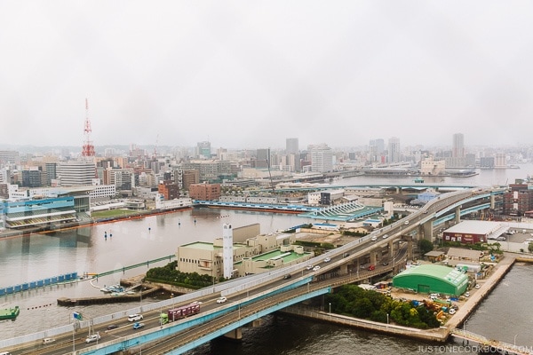 View of Fukuoka city from Hakata Port Tower - Fukuoka Travel Guide | justonecookbook.com