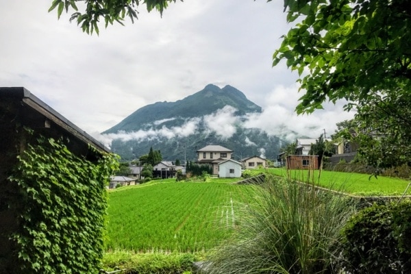 view of Mt. Yufu - Yufuin Travel Guide | justonecookbook.com