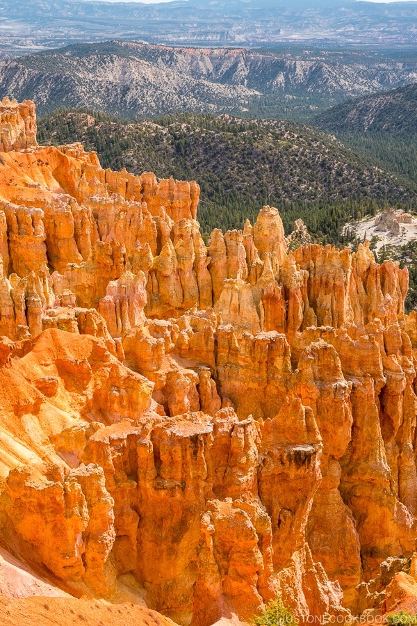 view from Black Birch Canyon - Bryce Canyon National Park Travel Guide | justonecookbook.com