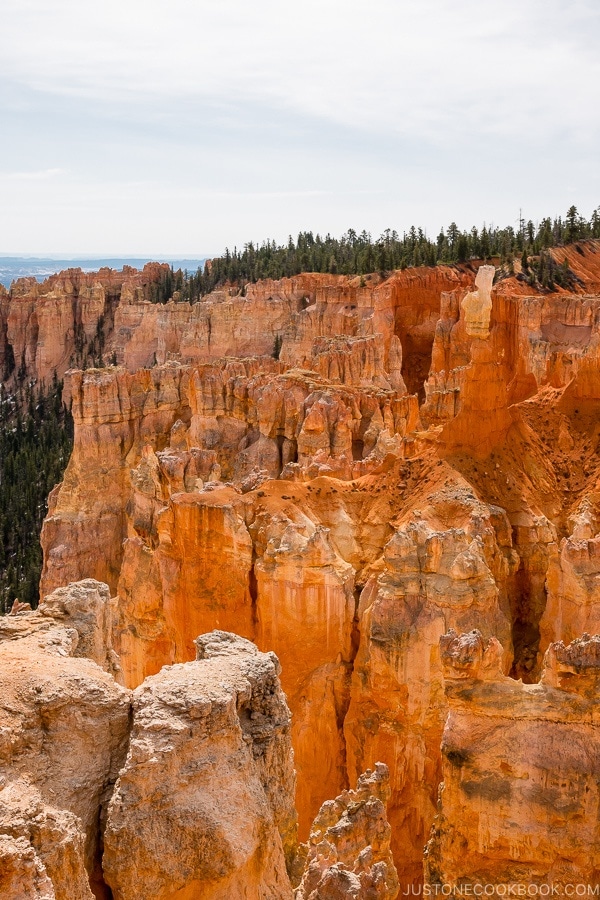 view from Agua Canyon - Bryce Canyon National Park Travel Guide | justonecookbook.com