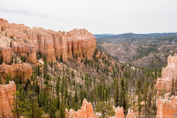 swamp canyon - Bryce Canyon National Park Travel Guide | justonecookbook.com