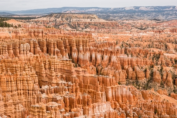 view from Bryce Canyon National Park Bryce Point - Bryce Canyon National Park Travel Guide | justonecookbook.com