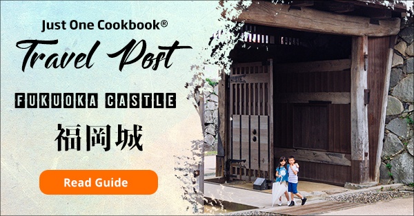 Fukuoka Castle - Fukuoka Travel Guide | justonecookbook.com