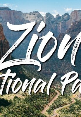 Zion National Park Highlights Tea Time with Nami