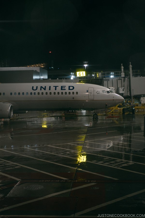 United airplane on the SFO tarmac - Zion National Park Travel Guide | justonecookbook.com