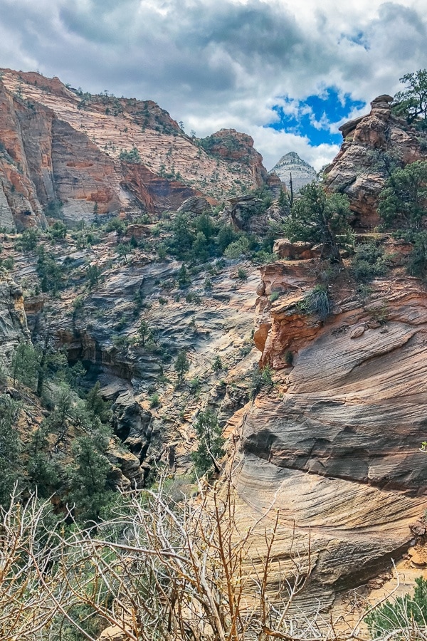 view of canyon from Canyon Overlook Trail - Zion National Park Travel Guide | justonecookbook.com