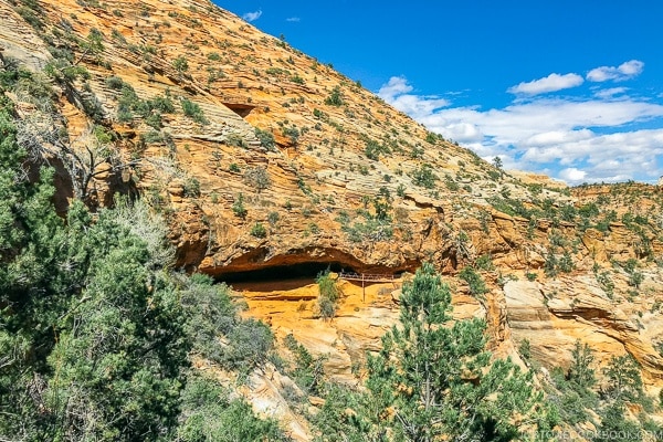 view of an alcove on the Canyon Overlook Trail - Zion National Park Travel Guide | justonecookbook.com