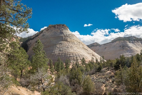 view of Checkboard Mesa - Zion National Park Travel Guide | justonecookbook.com
