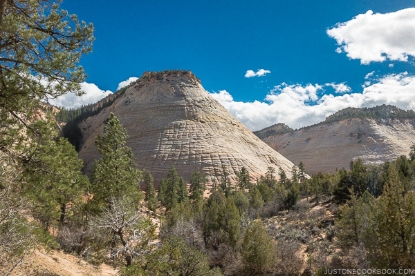 view of Checkboard Mesa - Zion National Park Travel Guide | justonecookbook.com