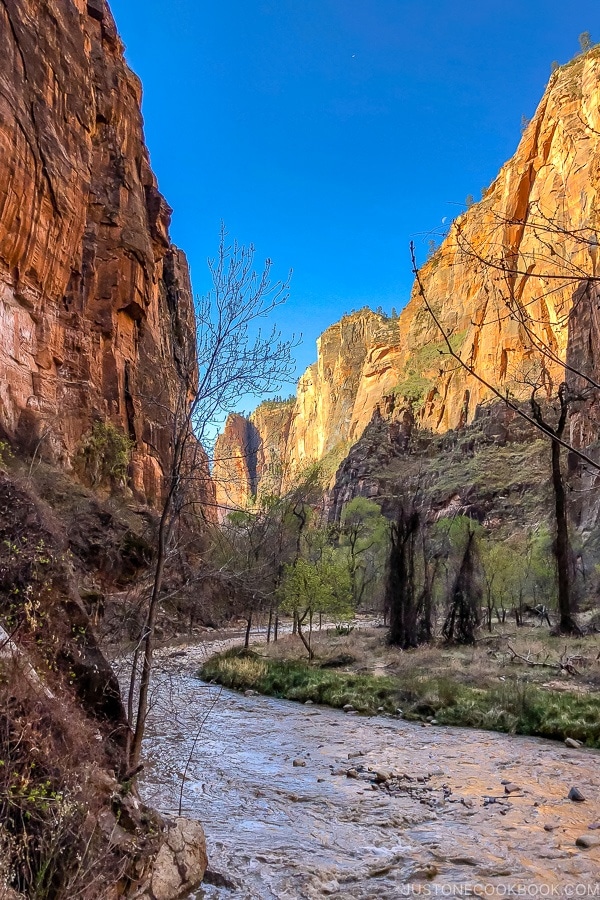 scenery of Virgin River from the Riverside Walk - Zion National Park Travel Guide | justonecookbook.com