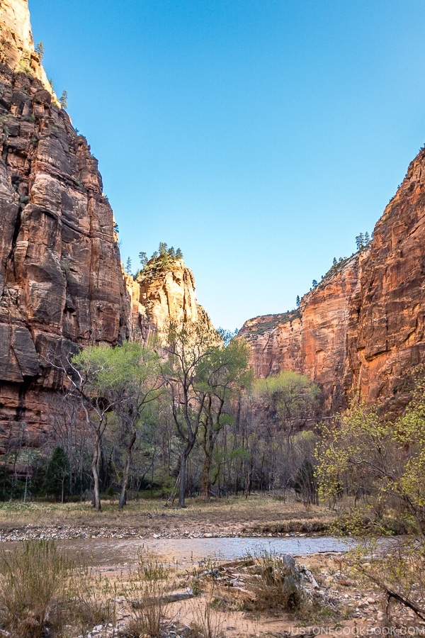 scenery of Virgin River from the Riverside Walk - Zion National Park Travel Guide | justonecookbook.com