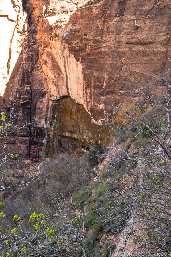 view of Weeping Rock - Zion National Park Travel Guide | justonecookbook.com