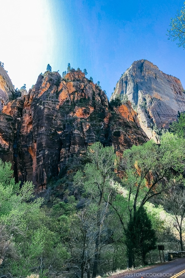 the hills near Hidden Canyon Trail - Zion National Park Travel Guide | justonecookbook.com