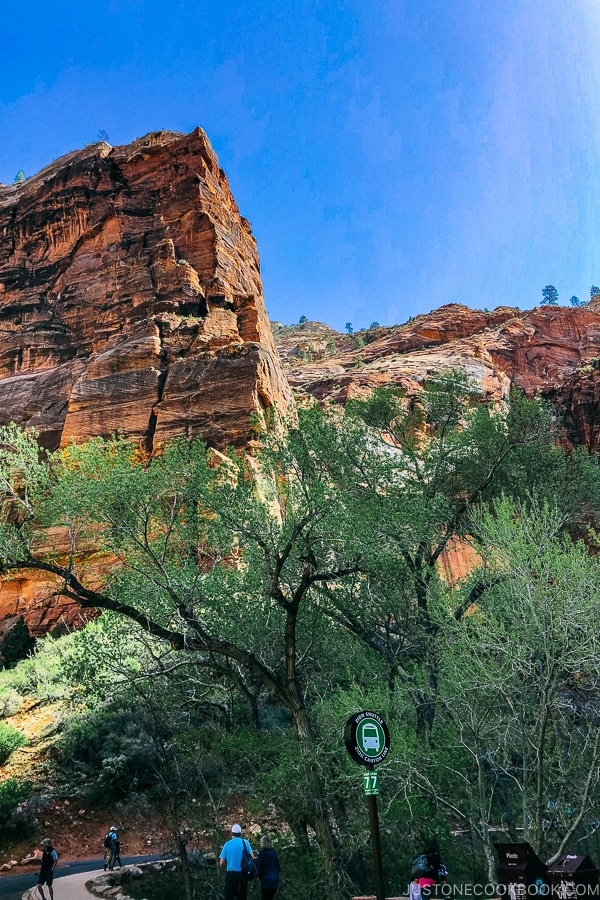 At shuttle stop 7 - Zion National Park Travel Guide | justonecookbook.com