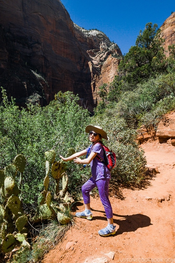 pretending to touch cactus on Kayenta Trail - Zion National Park Travel Guide | justonecookbook.com