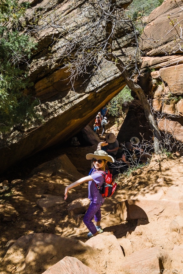 rocky pathway on Emerald Pools trail - Zion National Park Travel Guide | justonecookbook.com