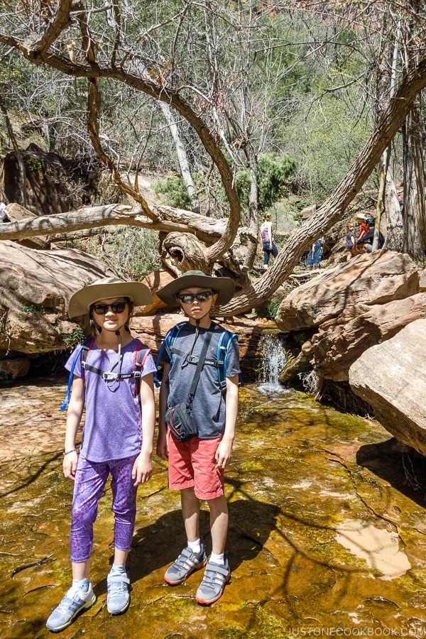 children in front of pond near Upper Emerald Pool - Zion National Park Travel Guide | justonecookbook.com