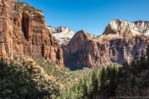 looking at the hills from the Emerald Pools Trail - Zion National Park Travel Guide | justonecookbook.com