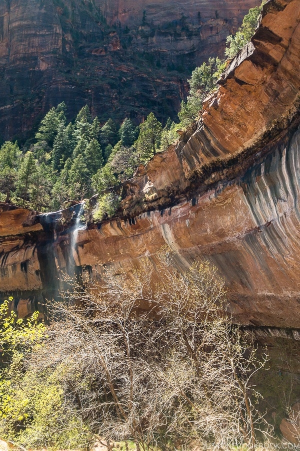 Waterfall near Lower Emerald Pool - Zion National Park Travel Guide | justonecookbook.com