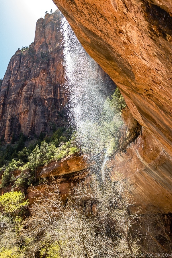 Waterfall near Lower Emerald Pool - Zion National Park Travel Guide | justonecookbook.com