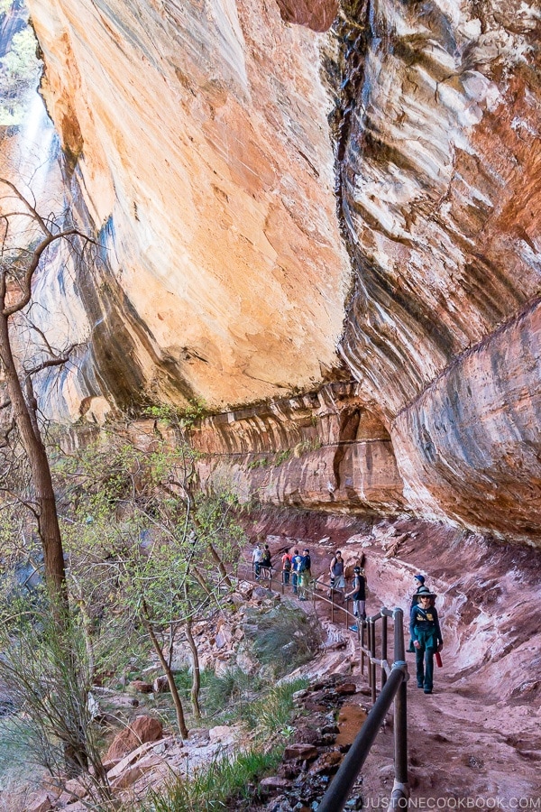 Walkway near Lower Emerald Pool - Zion National Park Travel Guide | justonecookbook.com