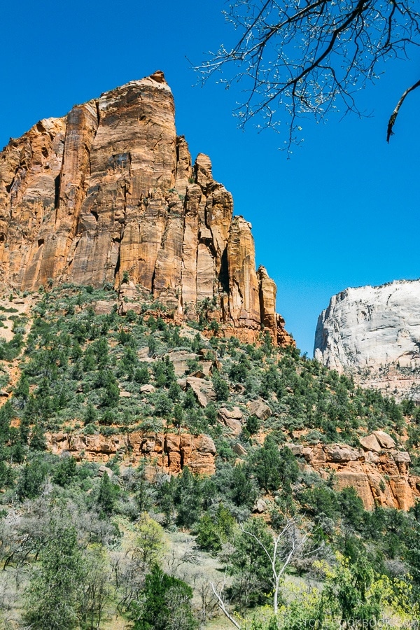 view of Zion Canyon from Emerald Pools Trail - Zion National Park Travel Guide | justonecookbook.com