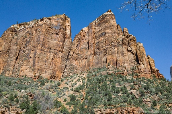 looking at the hills from the Emerald Pools Trail - Zion National Park Travel Guide | justonecookbook.com