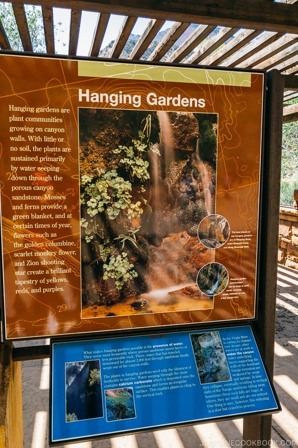 signs explaining hanging gardens features near visitor center - Zion National Park Travel Guide | justonecookbook.com