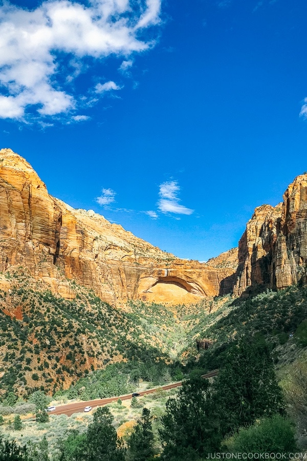 view of The Great Arch - Zion National Park Travel Guide | justonecookbook.com