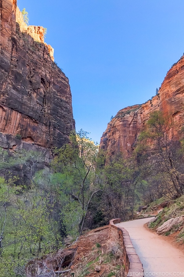 scenery from Riverside Walk - Zion National Park Travel Guide | justonecookbook.com