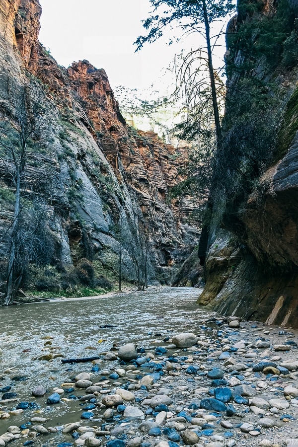 the beginning of The Narrows - Zion National Park Travel Guide | justonecookbook.com