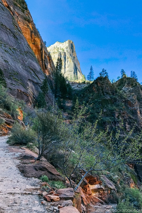 On the Hidden Canyon Trail - Zion National Park Travel Guide | justonecookbook.com