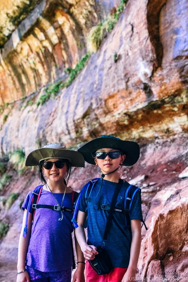 children standing at Lower Emerald Pool - Zion National Park Travel Guide | justonecookbook.com