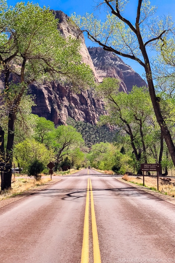 view of Zion Canyon Scenic Dr near Zion Lodge - Zion National Park Travel Guide | justonecookbook.com