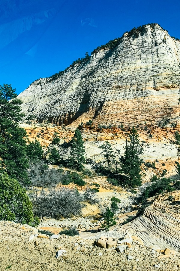 sandstone hills near Checkerboard Mesa - Zion National Park Travel Guide | justonecookbook.com